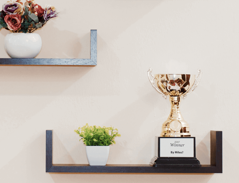 trophy-on-shelf-785x600-1
